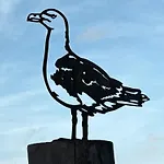 Am * Haselünne